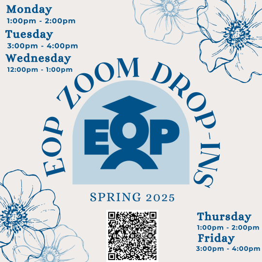 zoom drop ins